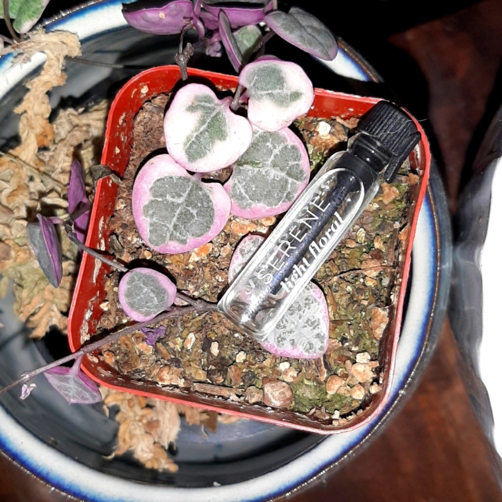 Fresh Floral perfume sample
